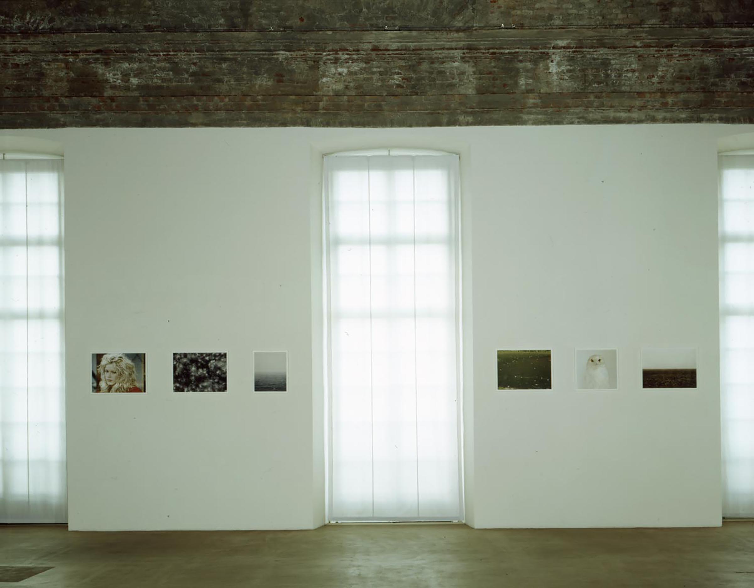 Roni Horn, Pi, 1998 (detail)